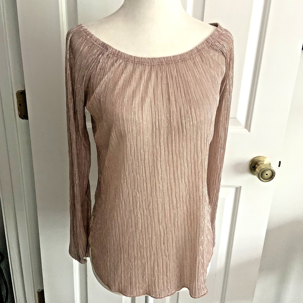 Potter's Pot Pink and Gold Metallic Shimmer Mesh Pleated Long Sleeve Top sz S
